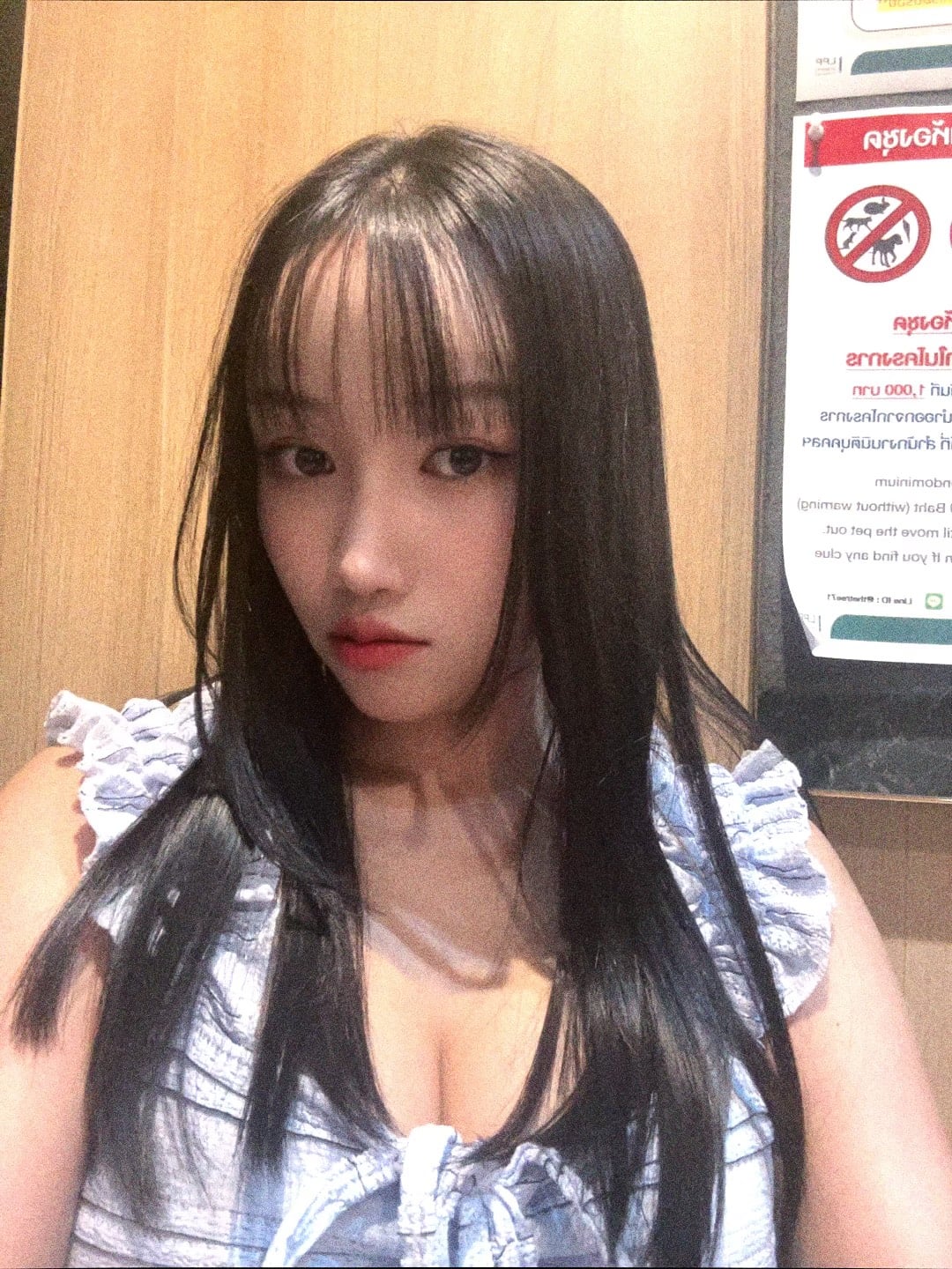 Coco, photo 5